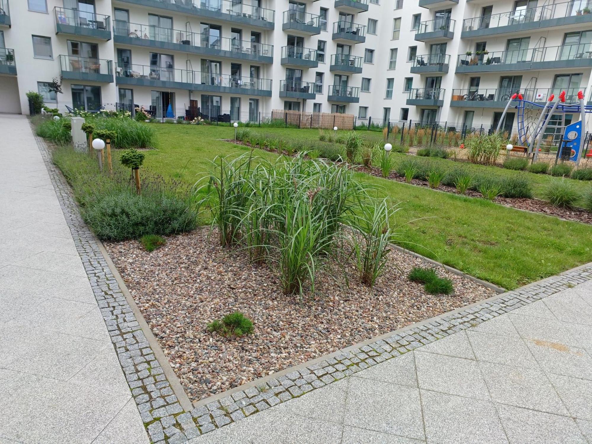 Mak Apartment Grobla - Free Parking - 3 Rooms Gdańsk Eksteriør billede